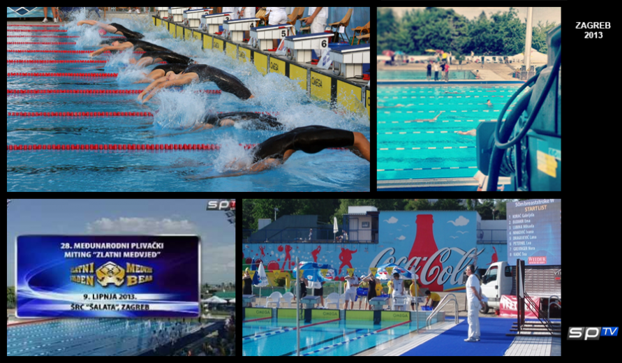 gallery/zl medvjed 2013